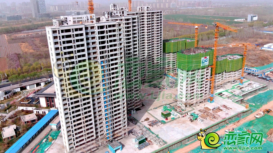 綠苑實(shí)景圖（2024.03.29）