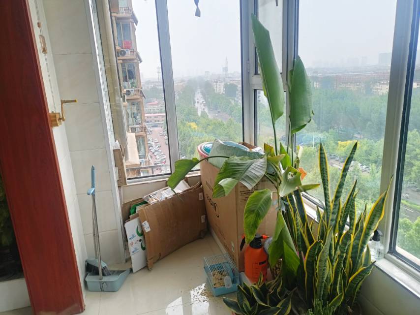 渚河路小學 學區(qū)房 中間樓層 精裝修 帶地下室