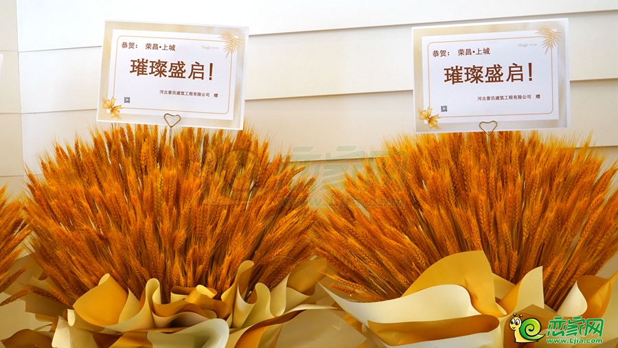 現(xiàn)場(chǎng)布置
