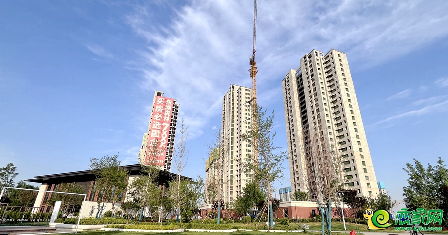 東湖森林實(shí)景圖（2024.05.30）