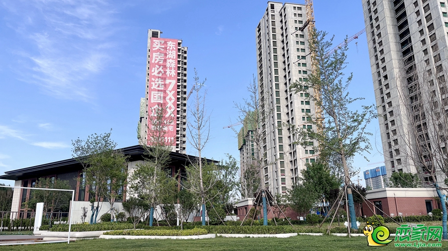 東湖森林實(shí)景圖（2024.05.30）