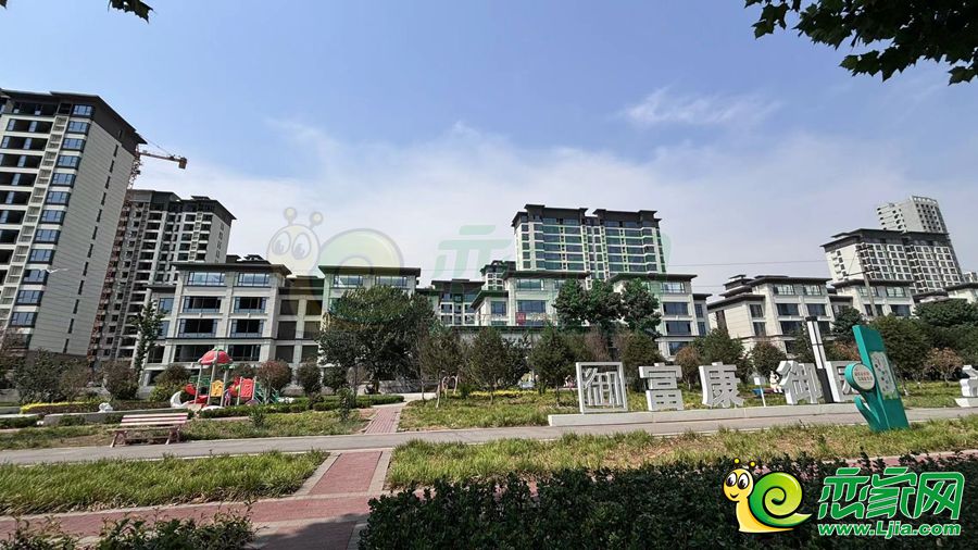 實(shí)景圖