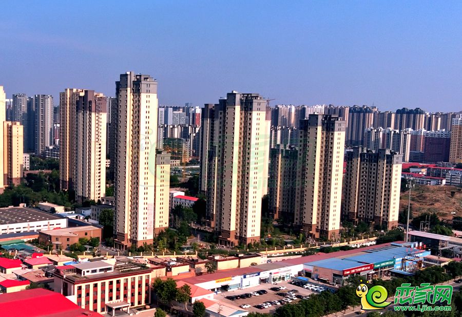 實(shí)景圖