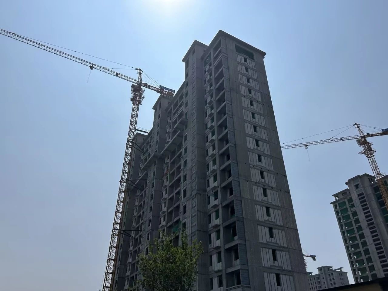 紅星美凱龍?zhí)飙t1#實(shí)景圖（2024.06.19）