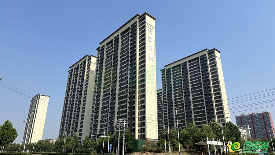 實(shí)景圖