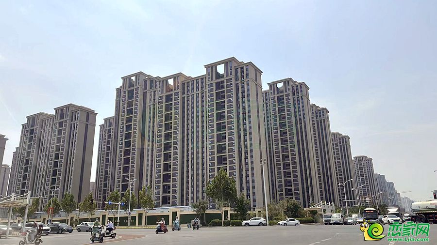 實(shí)景圖