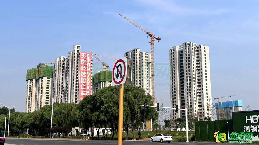 東湖森林實(shí)景圖（2024.06.20）