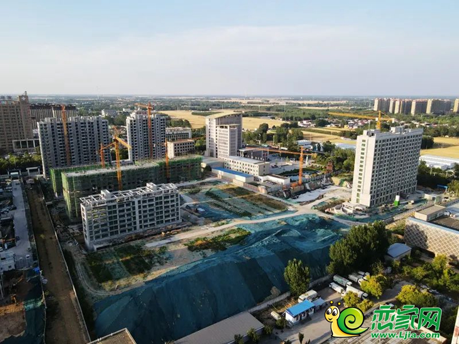 新城金茂府實(shí)景圖（2024.06.22）