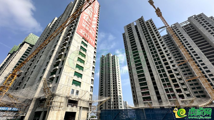 東湖森林實(shí)景圖（2024.07.16）