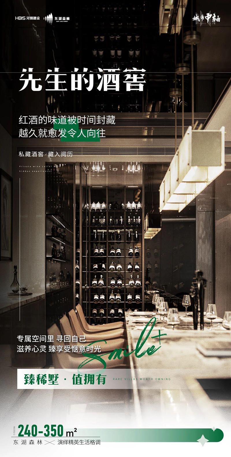 東湖峰璟·疊墅 : 超能地下空間的“千面生活”之--先生的酒窖