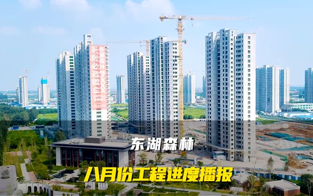 河鋼建設(shè)東湖森林8月份工程進(jìn)度播報(bào)