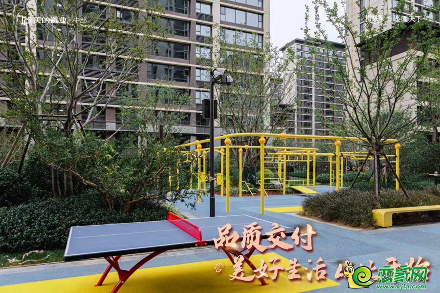 實(shí)景圖