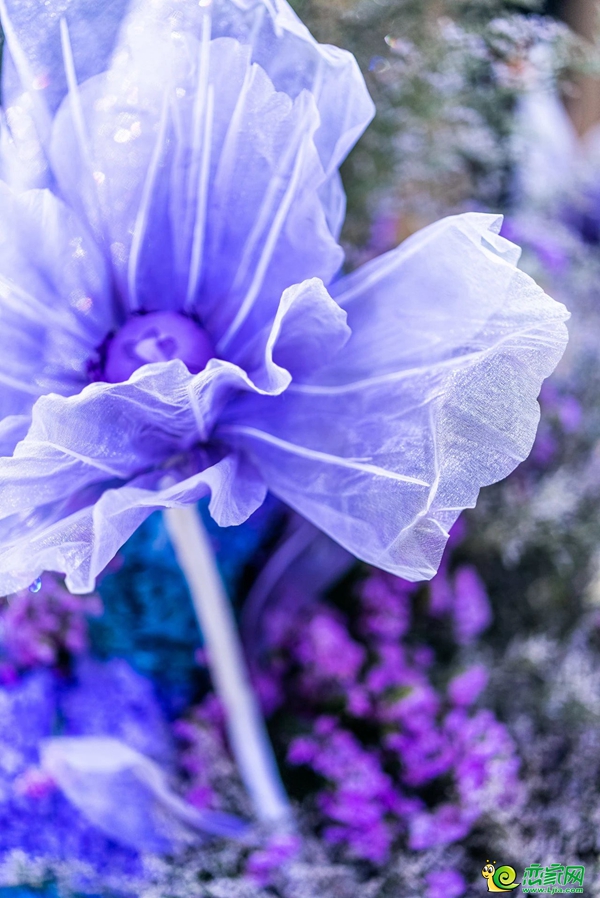 ee5b106f5ed67136b295c627bb718a3d.jpg