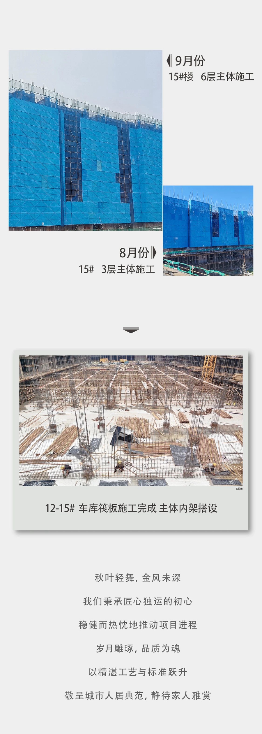 b6548fb79e2231ca7173cf4cd9704514.jpg