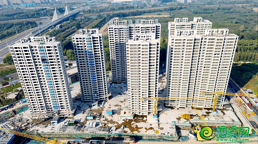 東湖森林實(shí)景圖（2024.11.02）