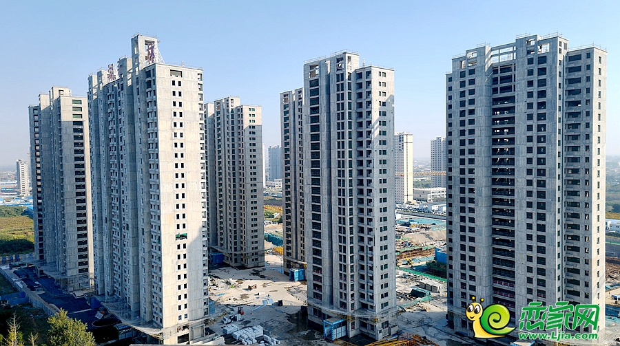 東湖森林實(shí)景圖（2024.11.02）