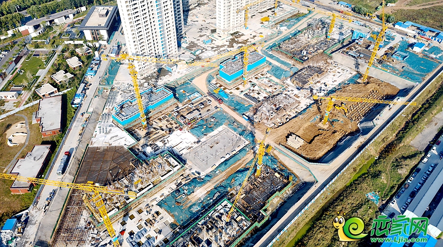 東湖森林實(shí)景圖（2024.11.02）