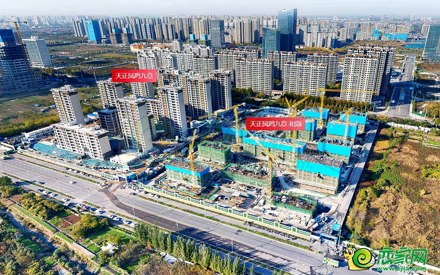 實景圖