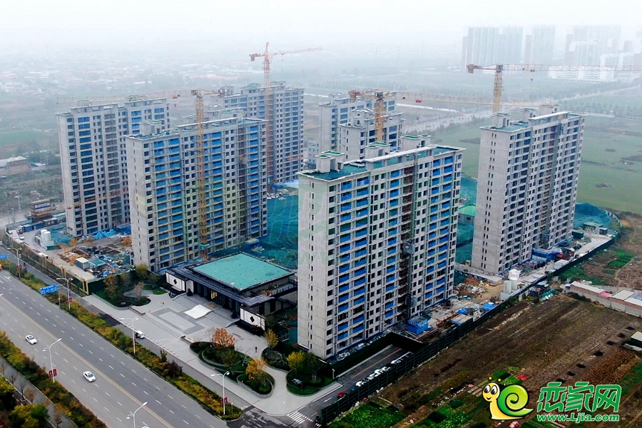 實景圖