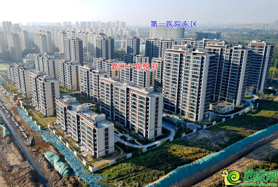 ab6319a40b68766d5f35ac037018d2ee.jpg