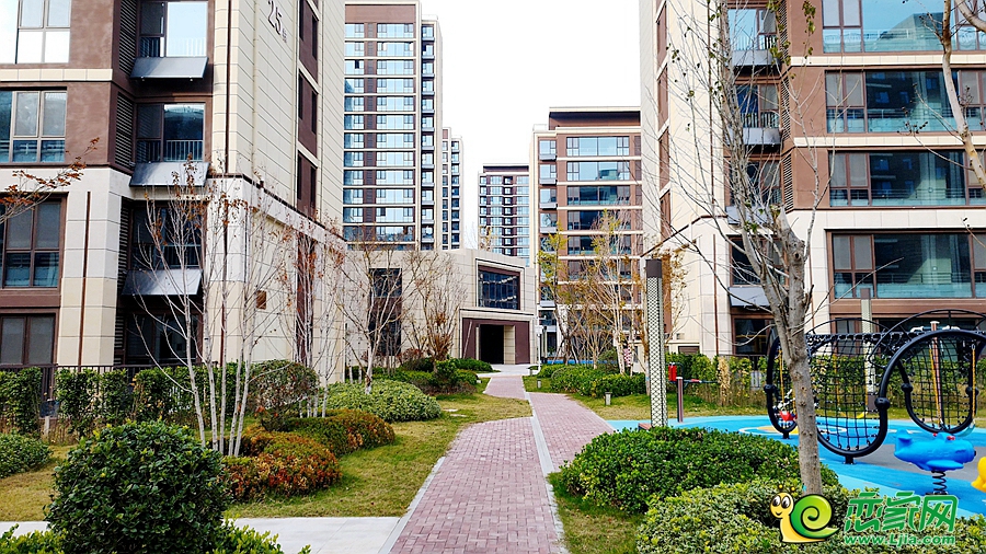 實(shí)景圖