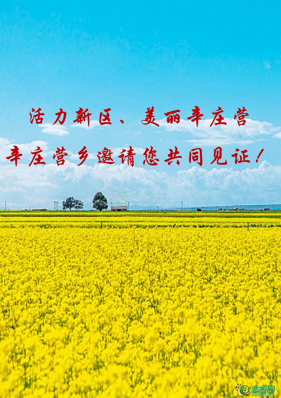 261cd47e170bf90fdd794c79e0b8bce4.jpg