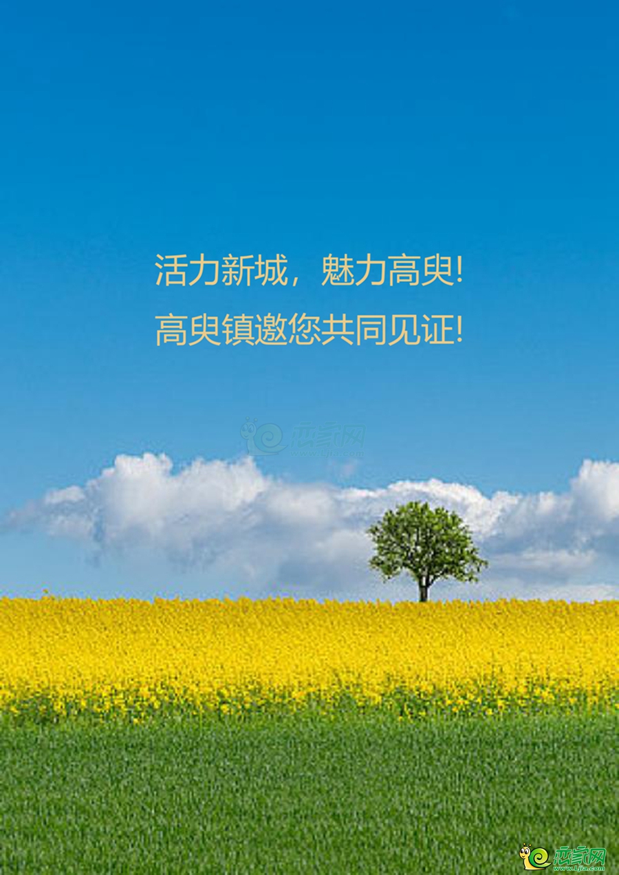 d87683d5434593e90b61afdd53212aff.jpg