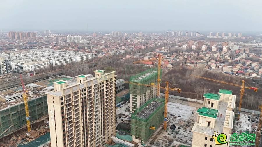 紅星天璽實(shí)景圖（2025.03.12）