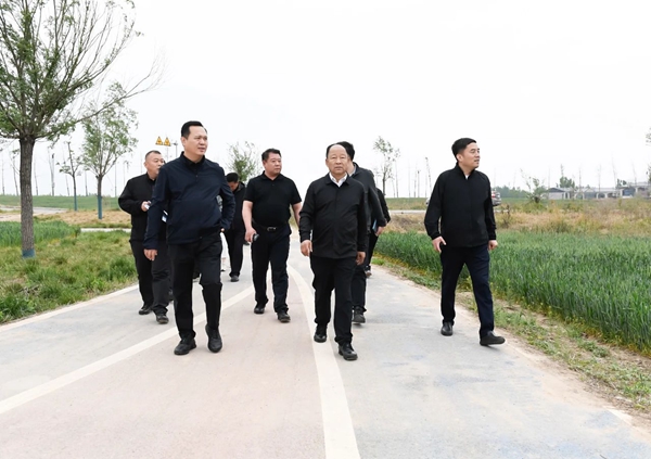 冀南新區(qū)調(diào)研中華大街兩側(cè)改造、檢查城鄉(xiāng)環(huán)境整治提升工作
