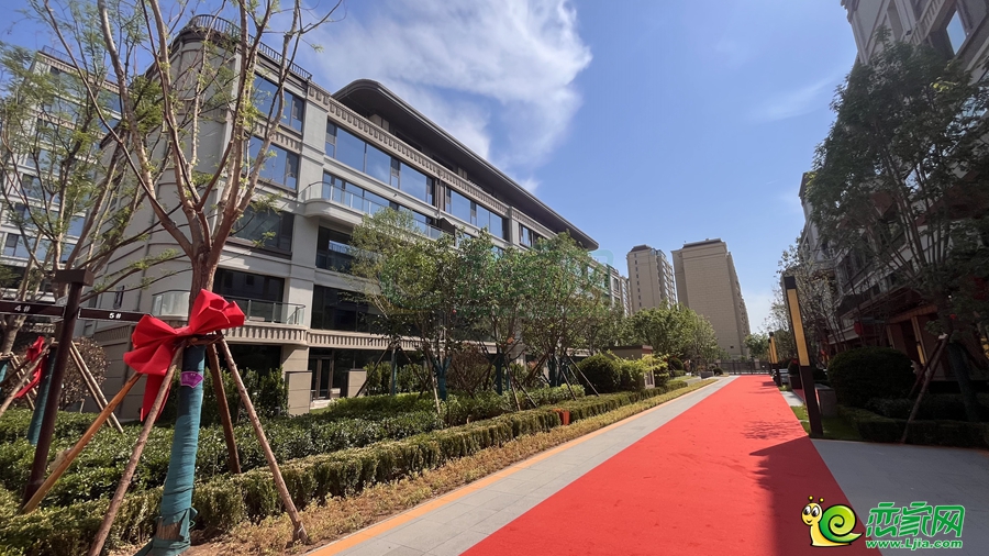 實景圖