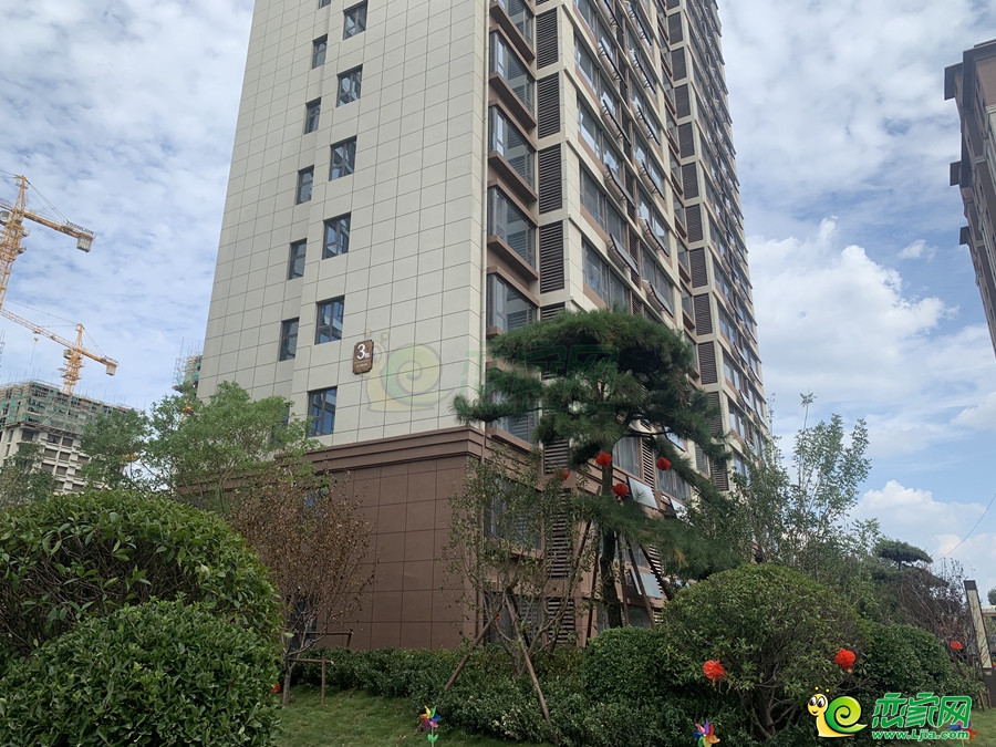 實景圖