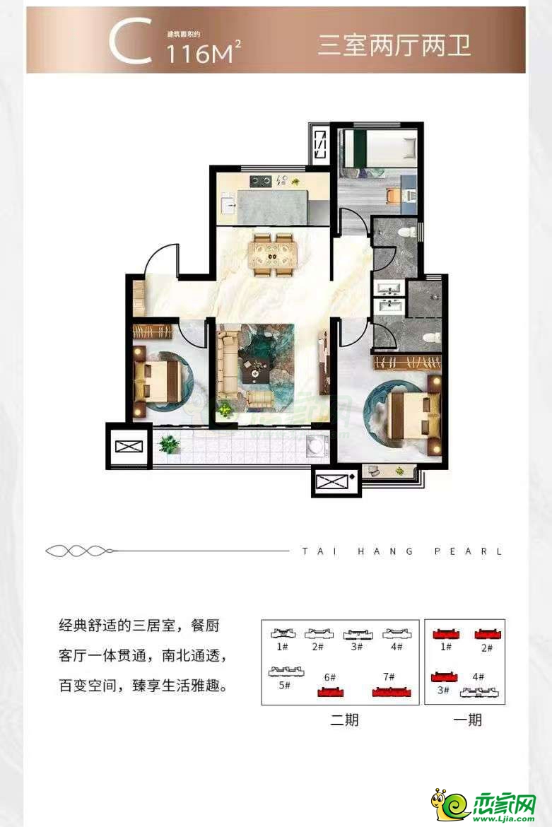 C戶型