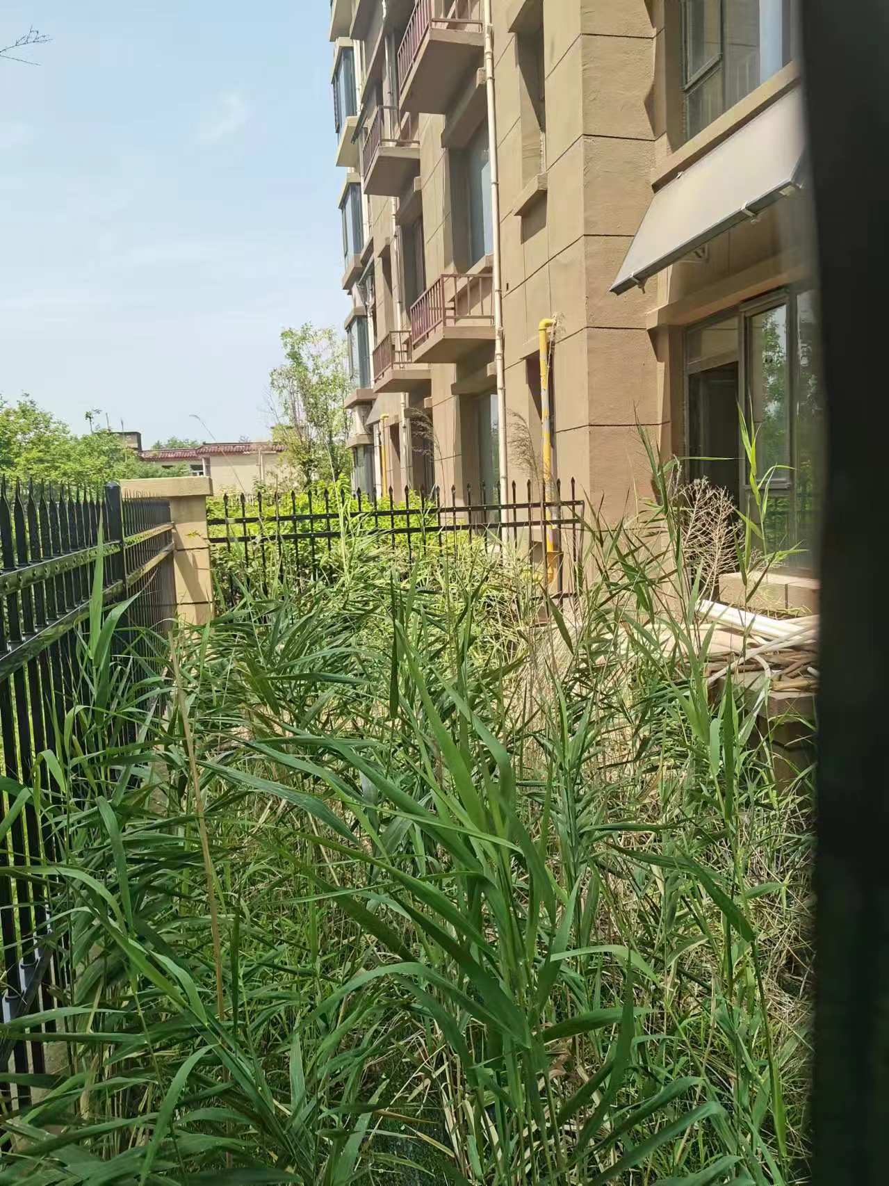 萬(wàn)浩繁花郡一層帶院南北通透3居室有證能貸款